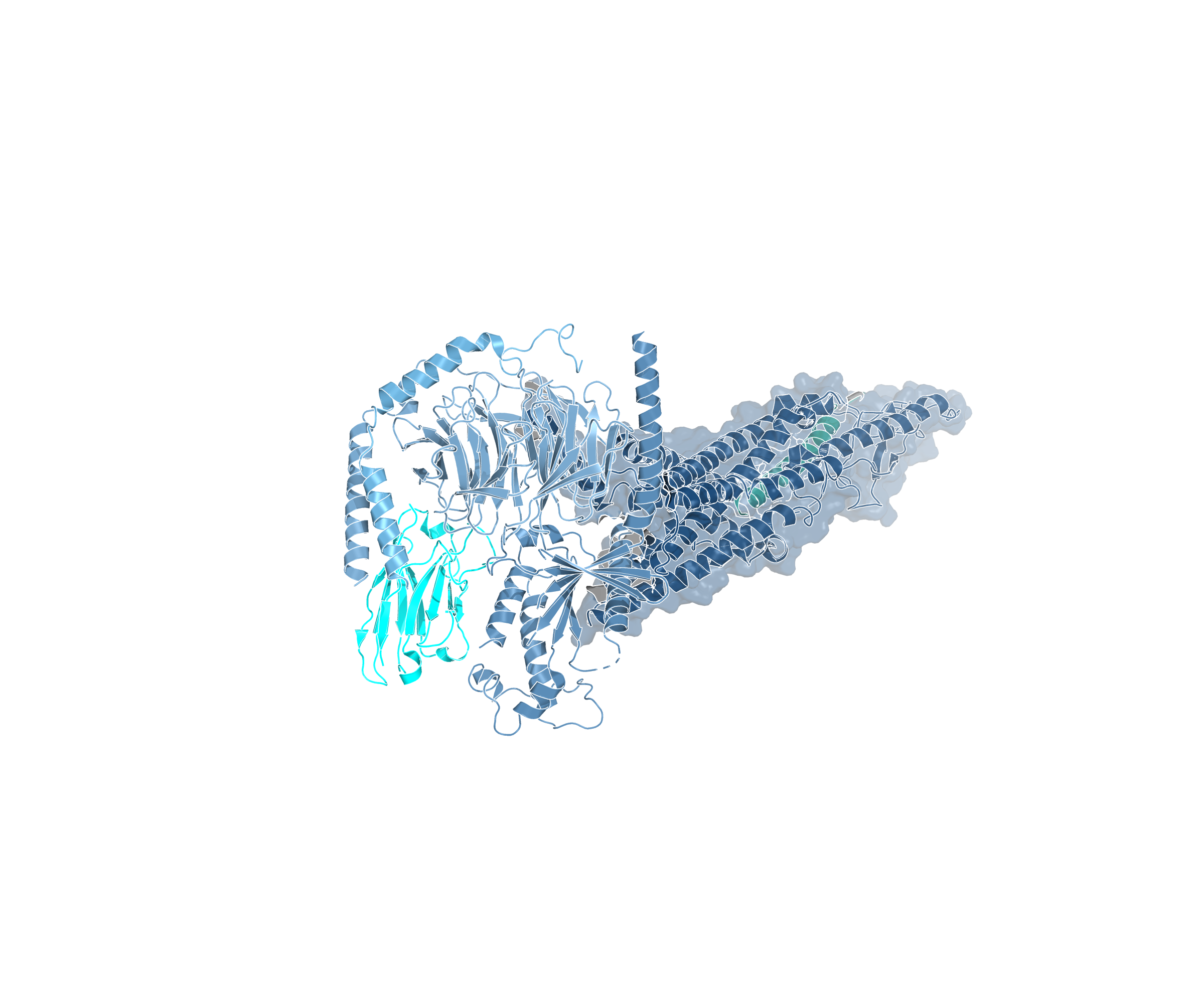 Molecular model of TRT-001 bound to the GLP-1 receptor complex